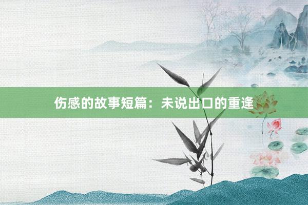 伤感的故事短篇:未说出口的重逢