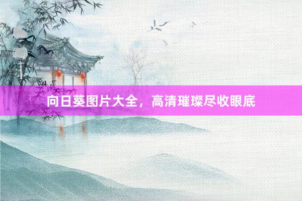 向日葵图片大全，高清璀璨尽收眼底