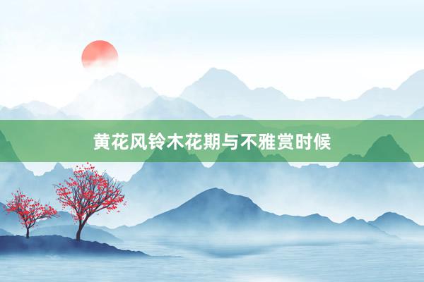 黄花风铃木花期与不雅赏时候