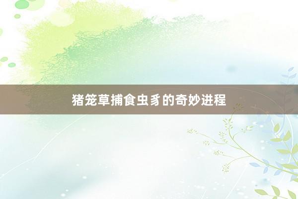 猪笼草捕食虫豸的奇妙进程