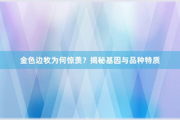 金色边牧为何惊羡？揭秘基因与品种特质