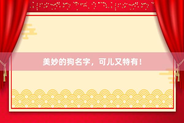 美妙的狗名字，可儿又特有！
