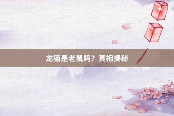 龙猫是老鼠吗？真相揭秘